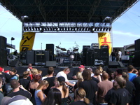 sick_puppies